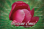 Pivoine Emoi - Atelier d'Art Floral