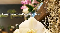 passion-fleur-mimizan passion-fleur-mimizan