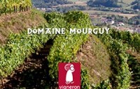 domaine-mourguy-irouleguy