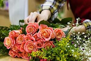 magasins de plantes et fleuristes en Corrèze